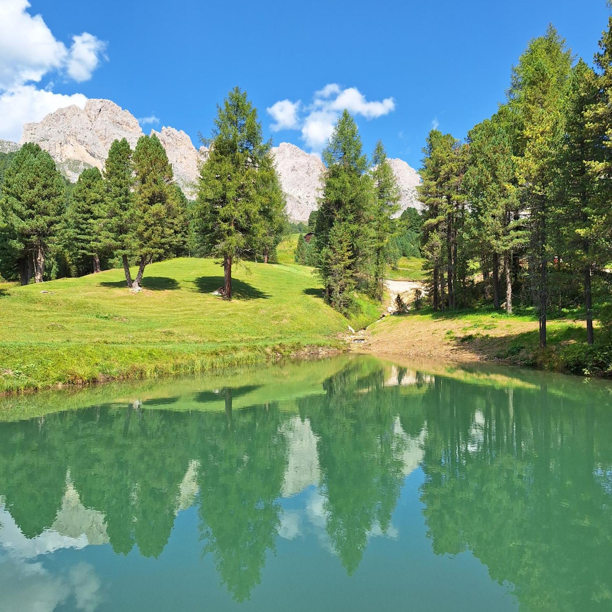 Apartment Romana Sëlva di Val Gardena Eksteriør billede